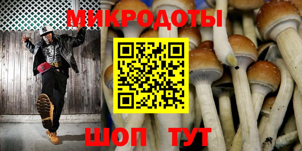 Галлюциногенные грибы Cubensis Красный Сулин