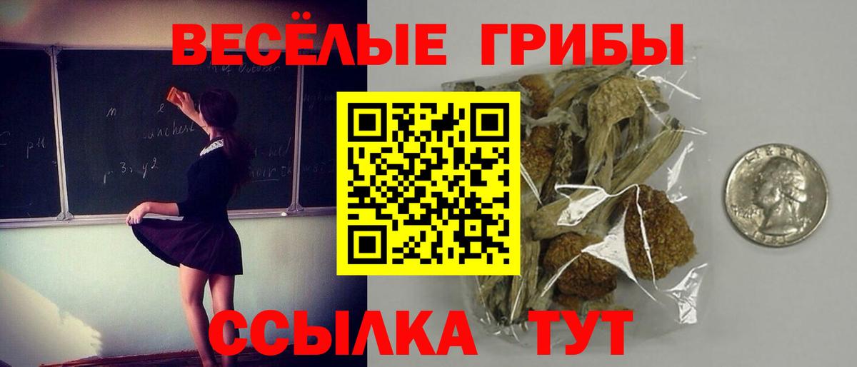 Красный Сулин  Псилоцибиновые грибы Magic Shrooms  Вход с VPN 